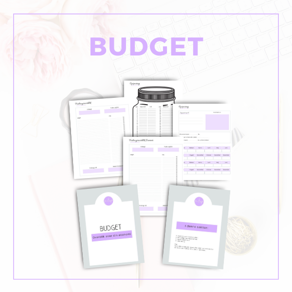Budget I pdf til download